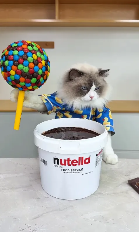 Puff beside a food-service bucket of chocolate spread while a candy-covered ball on a stick is dipped in.