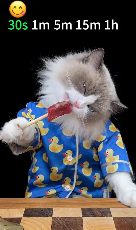 Puff tasting a watermelon popsicle on a wooden board, eyes half closed, with timer options listed above.